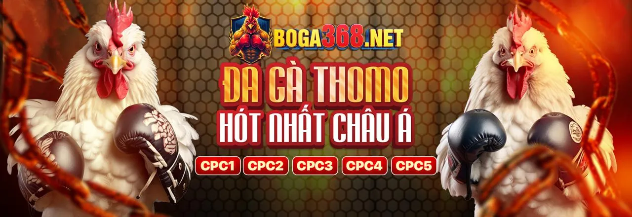 Giới thiệu thương hiệu 8day08