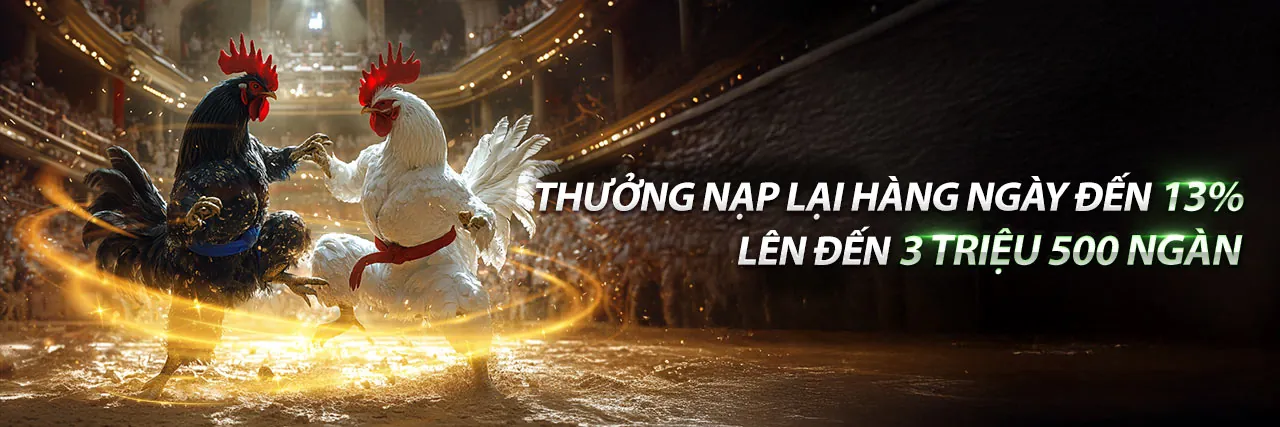 Đá gà trực tuyến sôi động tại 8day08